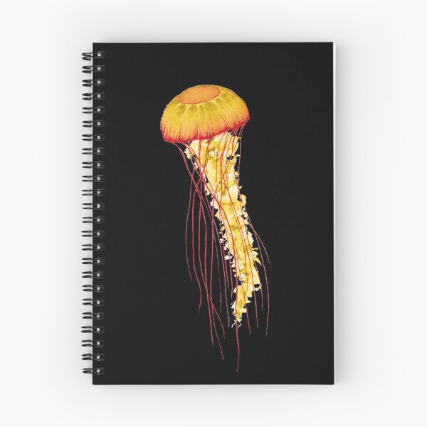 Item preview, Chrysaora Fuscescens Jellyfish (Black) designed and sold by MWatercolours.