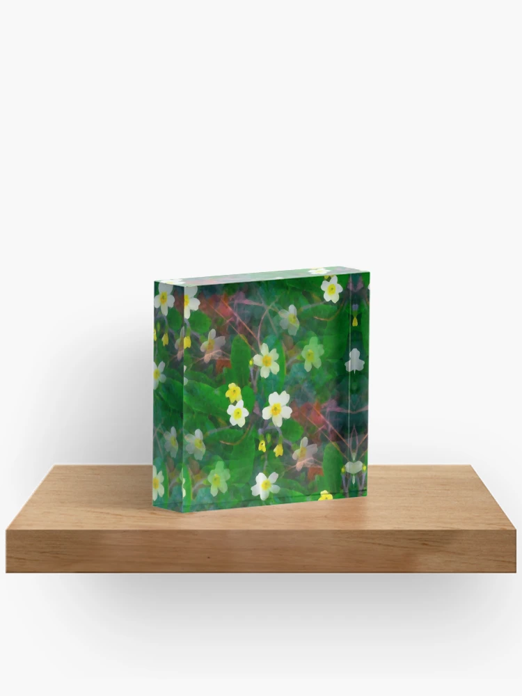 Thumbnail 2 of 5, Acrylic Block, Primroses Spring Flower Pattern designed and sold by DesignsofNote.