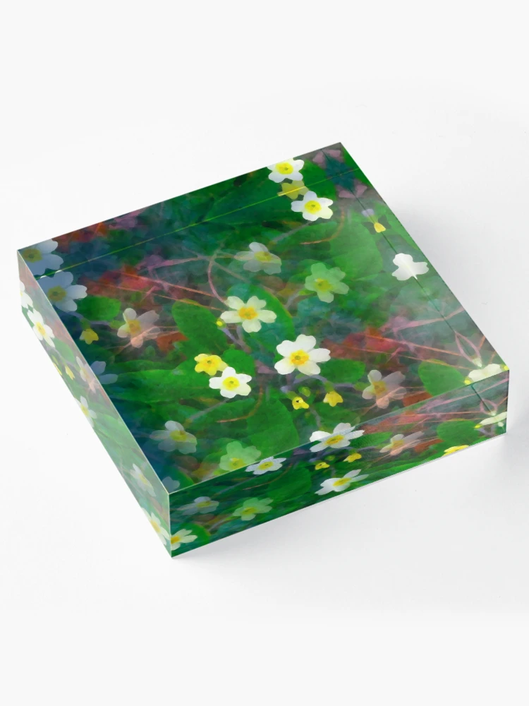 Thumbnail 4 of 5, Acrylic Block, Primroses Spring Flower Pattern designed and sold by DesignsofNote.