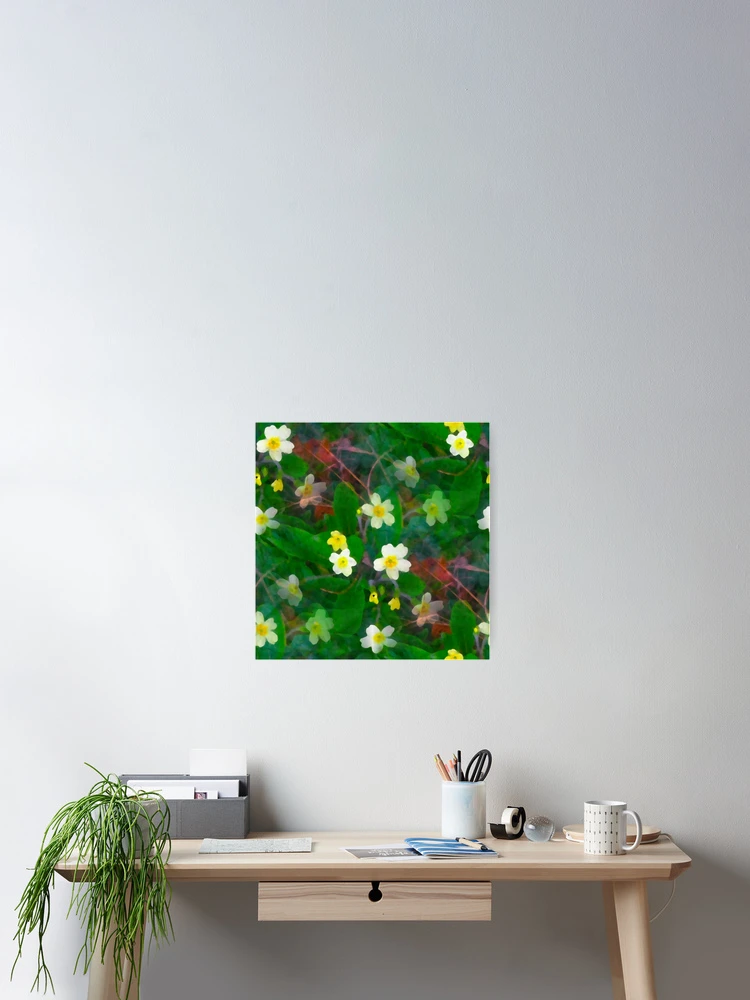 Thumbnail 2 of 3, Poster, Primroses Spring Flower Pattern designed and sold by DesignsofNote.