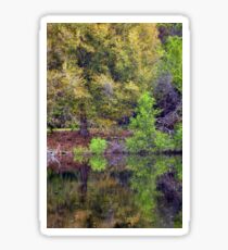 The Pond Sticker