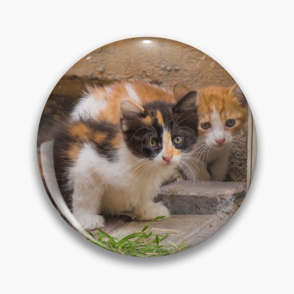 Item preview, Street Cats in Balat Istanbul designed and sold by jojobob.
