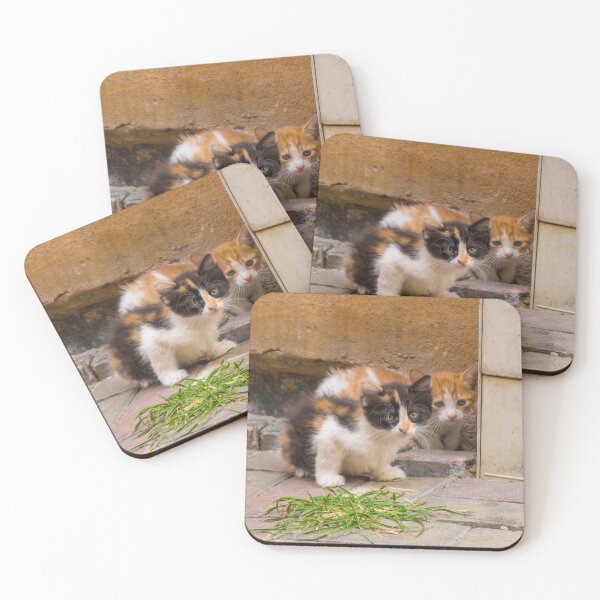 Item preview, Street Cats in Balat Istanbul designed and sold by jojobob.