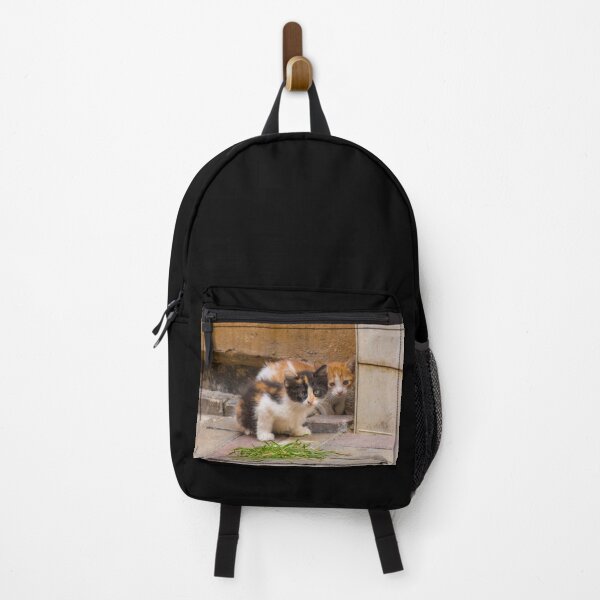 Item preview, Street Cats in Balat Istanbul designed and sold by jojobob.