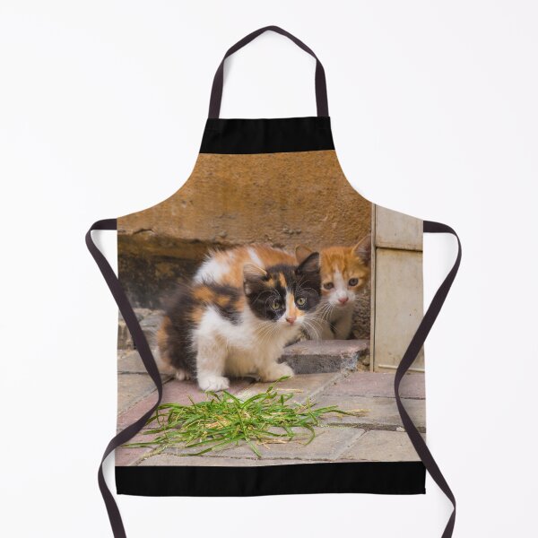 Item preview, Street Cats in Balat Istanbul designed and sold by jojobob.