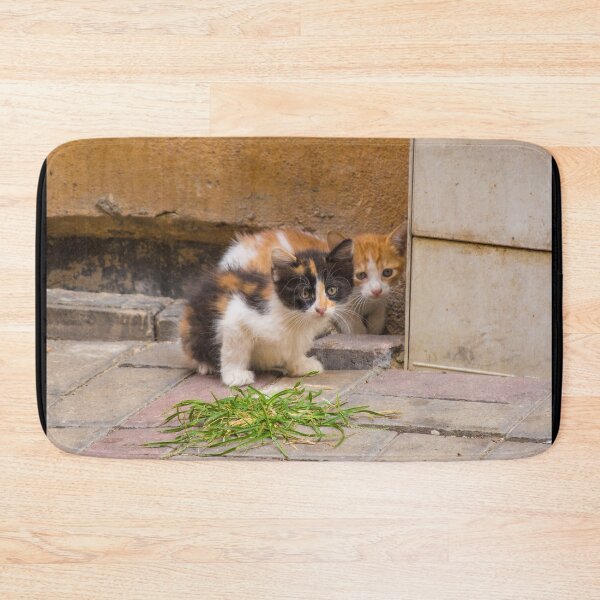Item preview, Street Cats in Balat Istanbul designed and sold by jojobob.