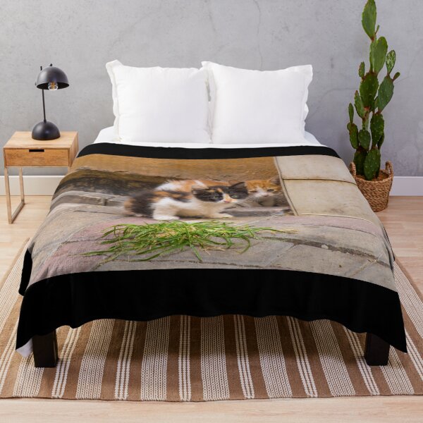 Item preview, Street Cats in Balat Istanbul designed and sold by jojobob.