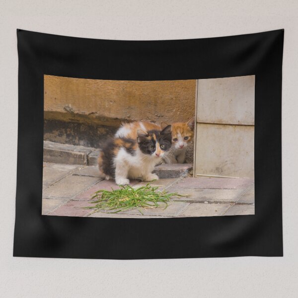 Item preview, Street Cats in Balat Istanbul designed and sold by jojobob.