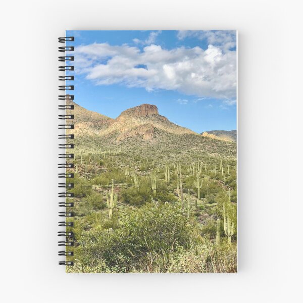 Aperçu de l'œuvre Paysage du désert de Sonora créée et vendue par SunnyDesignsCo.