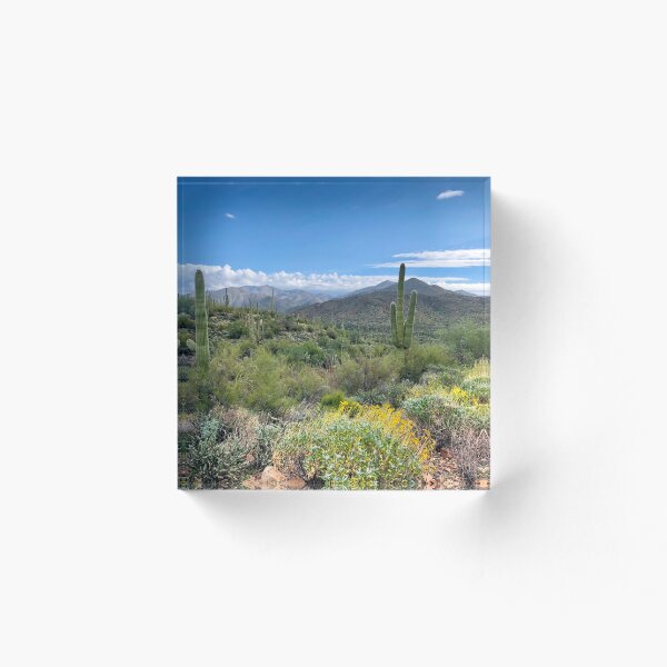 Item preview, Paisaje del desierto del suroeste de Sonora designed and sold by SunnyDesignsCo.