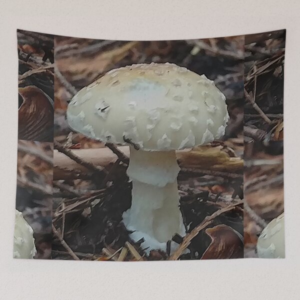 Item preview, Ghost Mushroom designed and sold by DreamDave3000.