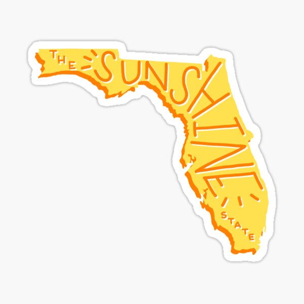 Vintage 1950s 1960s Florida Souvenir Alligator Sunshine State