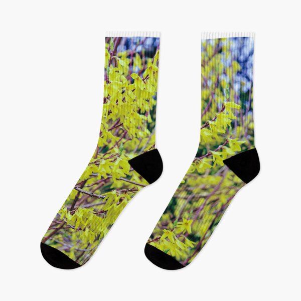 Item preview, Forsythia designed and sold by SzendeB.