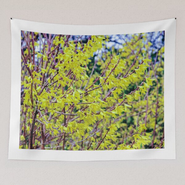 Item preview, Forsythia designed and sold by SzendeB.