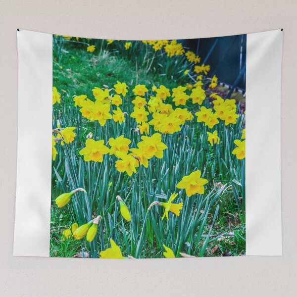 Item preview, Narcissus designed and sold by SzendeB.