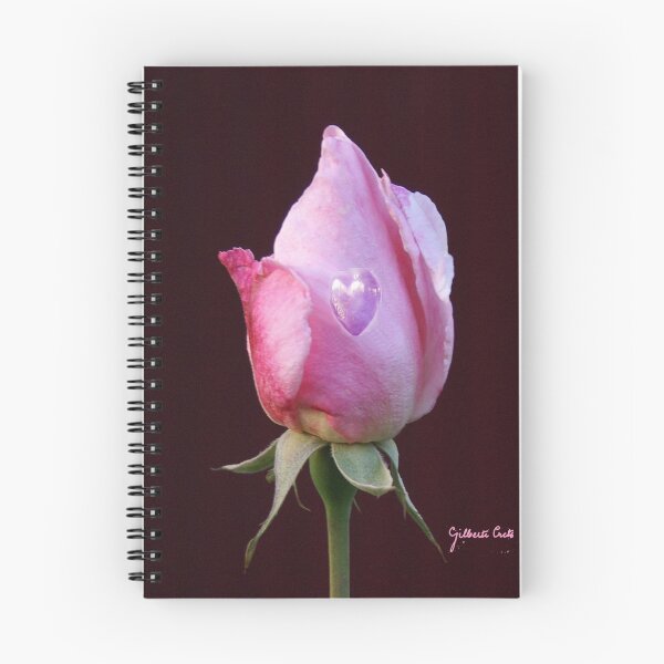 Item preview, Valentine designed and sold by Gilberte.