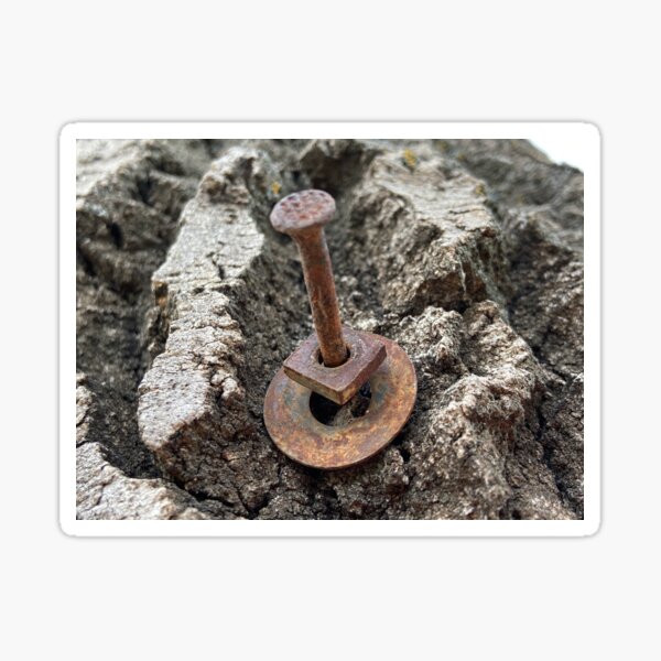 Rusty nail on deadwood Pegatina