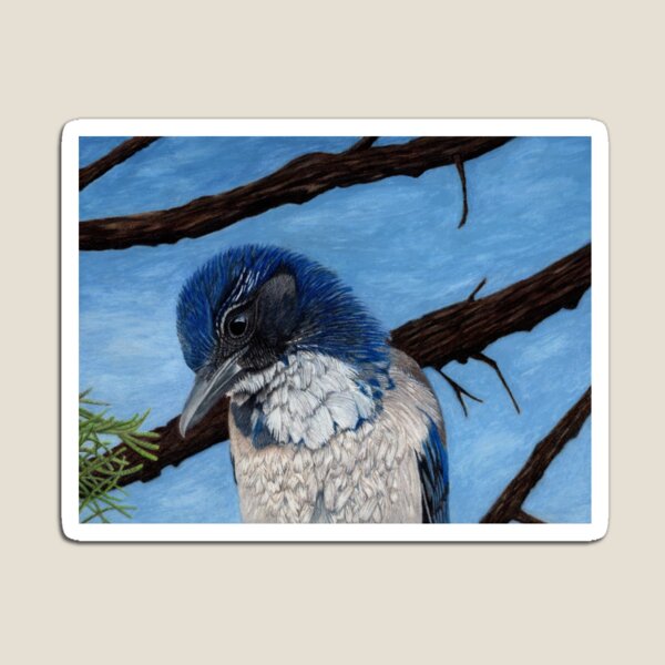 Item preview, Pretty Western Scrub Jay Bird designed and sold by Patricia Barmatz.