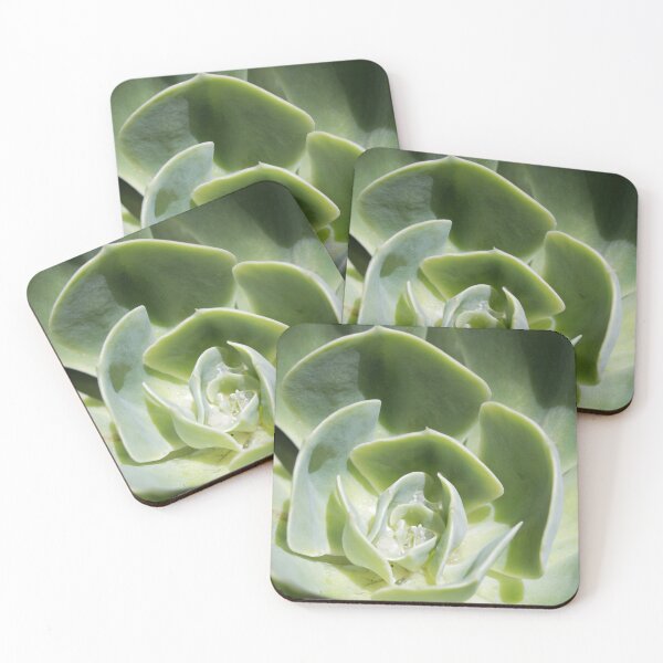 Item preview, Succulent designed and sold by nimeja.