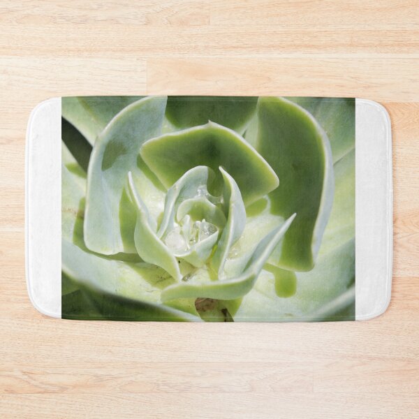Item preview, Suculenta designed and sold by nimeja.