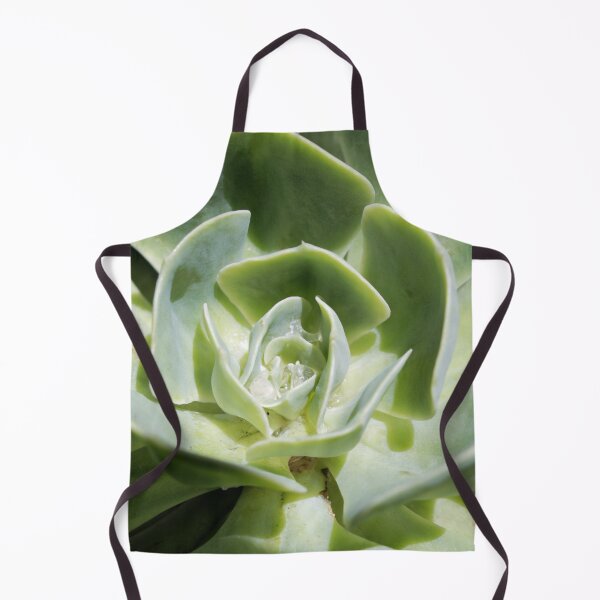 Item preview, Succulent designed and sold by nimeja.
