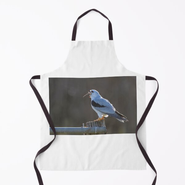 Item preview, An Adult Black - Shouldered Kite swallows a Rat designed and sold by Wildpix.