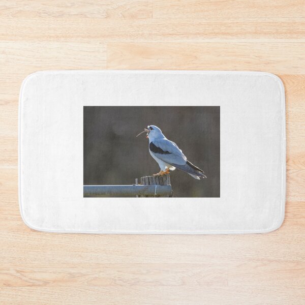 Item preview, An Adult Black - Shouldered Kite swallows a Rat designed and sold by Wildpix.