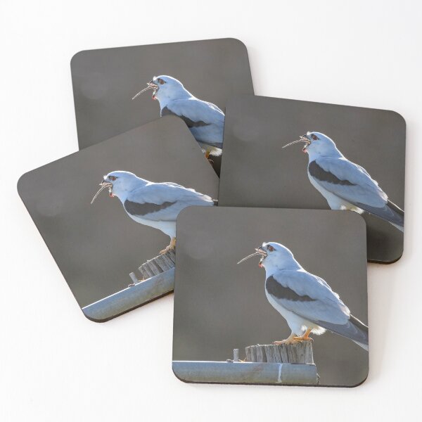 Item preview, An Adult Black - Shouldered Kite swallows a Rat designed and sold by Wildpix.