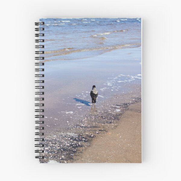 Item preview, Grey crow walking in sea water near seacoast designed and sold by lena-maximova.