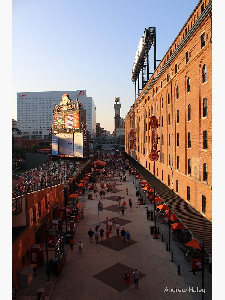 Baltimore Maryland camden yards water work shirt