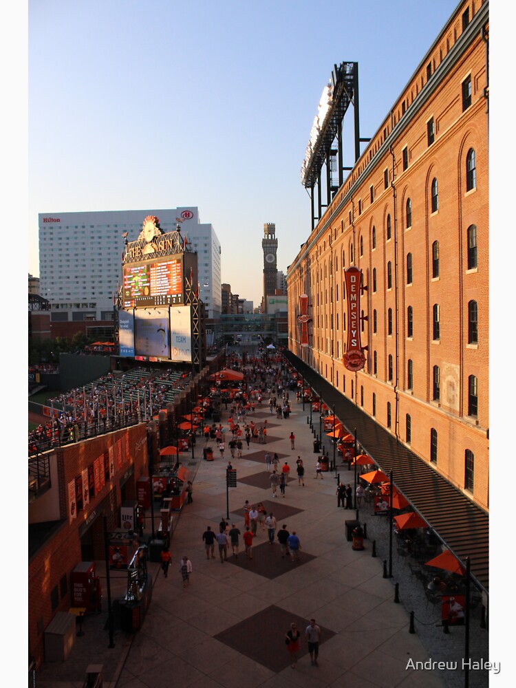 Baltimore orioles Oriole park at camden yards t-shirt, hoodie