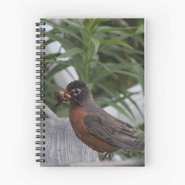 Item preview, Robin with Food designed and sold by suzyrissew.