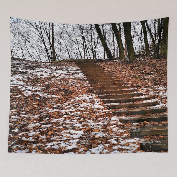 Item preview, Winter stairs in the forest designed and sold by frankuffmann.