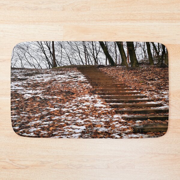 Item preview, Winter stairs in the forest designed and sold by frankuffmann.