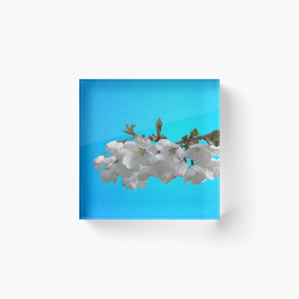 Item preview, Spring Blossoms designed and sold by sirglennbo.