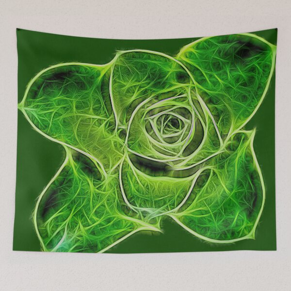 Item preview, irish rose – aeonium arboreum ¦ designed and sold by nature. electrified..