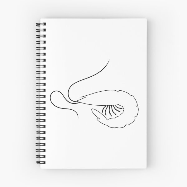 Item preview, Plain Shrimp Stencil designed and sold by StencilGifts.