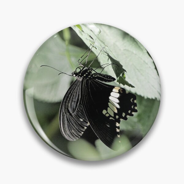 Item preview, Finition  2021 / r2785/  Finition  2021 / r2785/   7 "  La Beauté du Papillon Légendaire "   aout 2017 - (h) Olavia-Olao Okaio Créations  7 "  La Beauté du Papillon Légendaire "   aout 2017 - (h) Olavia-Olao Okaio Créations  designed and sold by o.okaïo.