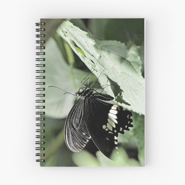 Item preview, Finition  2021 / r2785/  Finition  2021 / r2785/   7 "  La Beauté du Papillon Légendaire "   aout 2017 - (h) Olavia-Olao Okaio Créations  7 "  La Beauté du Papillon Légendaire "   aout 2017 - (h) Olavia-Olao Okaio Créations  designed and sold by o.okaïo.