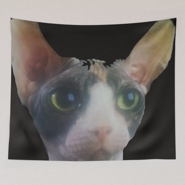 Item preview, SPHINX CAT designed and sold by mtargui2022.