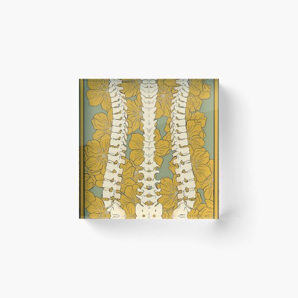 Item preview, Spinal Column designed and sold by Deanomite85.