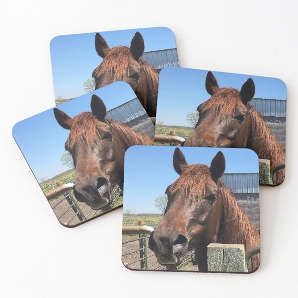 Item preview, Chestnut horse saying hello designed and sold by cowgirltracie.