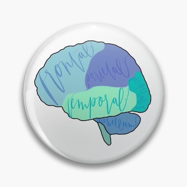 Item preview, brain anatomy designed and sold by elizhodges.