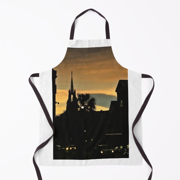 Item preview, Historic Charleston SC VI designed and sold by PJS15204.
