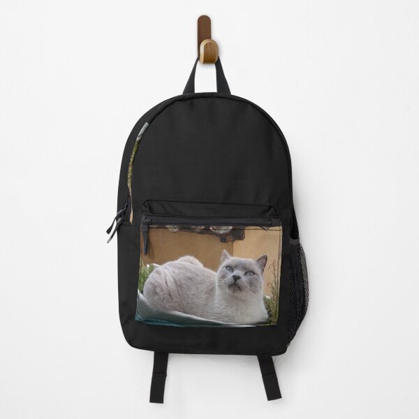 Item preview, BLANCO CAT designed and sold by mtargui2022.