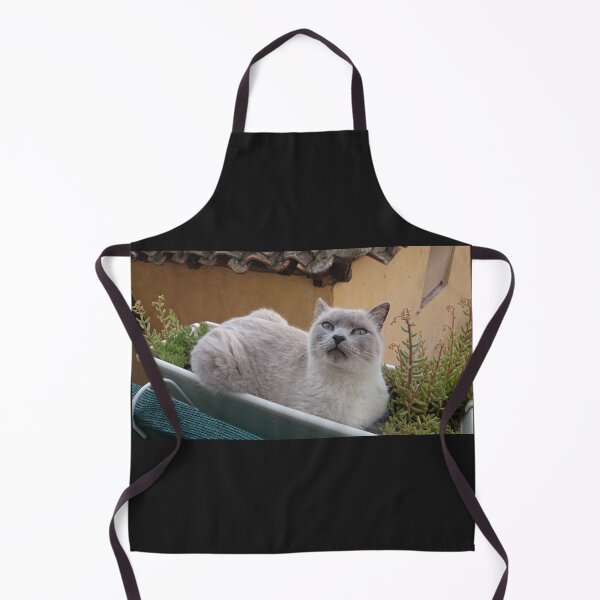 Item preview, BLANCO CAT designed and sold by mtargui2022.