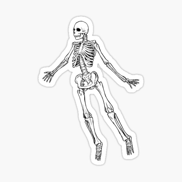 “Flying Skeleton” Sticker for Sale by BrittTheAwesome | Redbubble