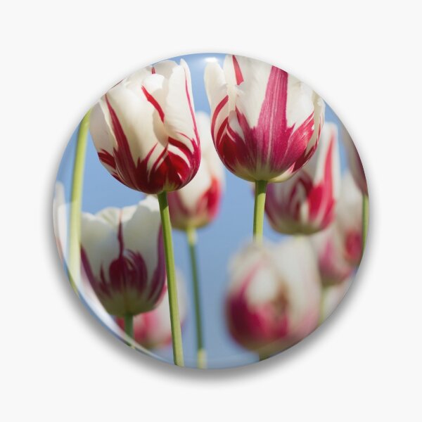 Item preview, flowers designed and sold by armando78.