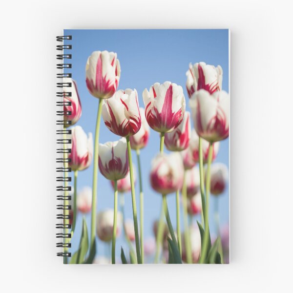 Item preview, flowers designed and sold by armando78.