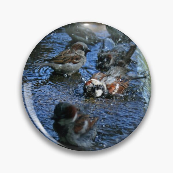 Item preview, Birds having fun designed and sold by The-Rising-Sun.